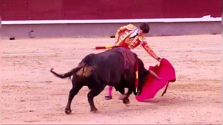 《斗牛》在线观看,热血激战，传奇诞生  第2张